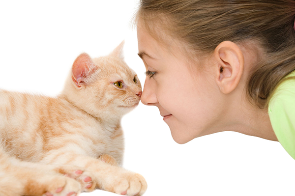Preventive Exams and Care Vet in Reston Just Cats Clinic